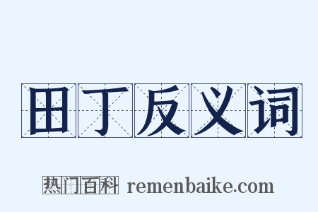 田丁反义词是什么意思的图片